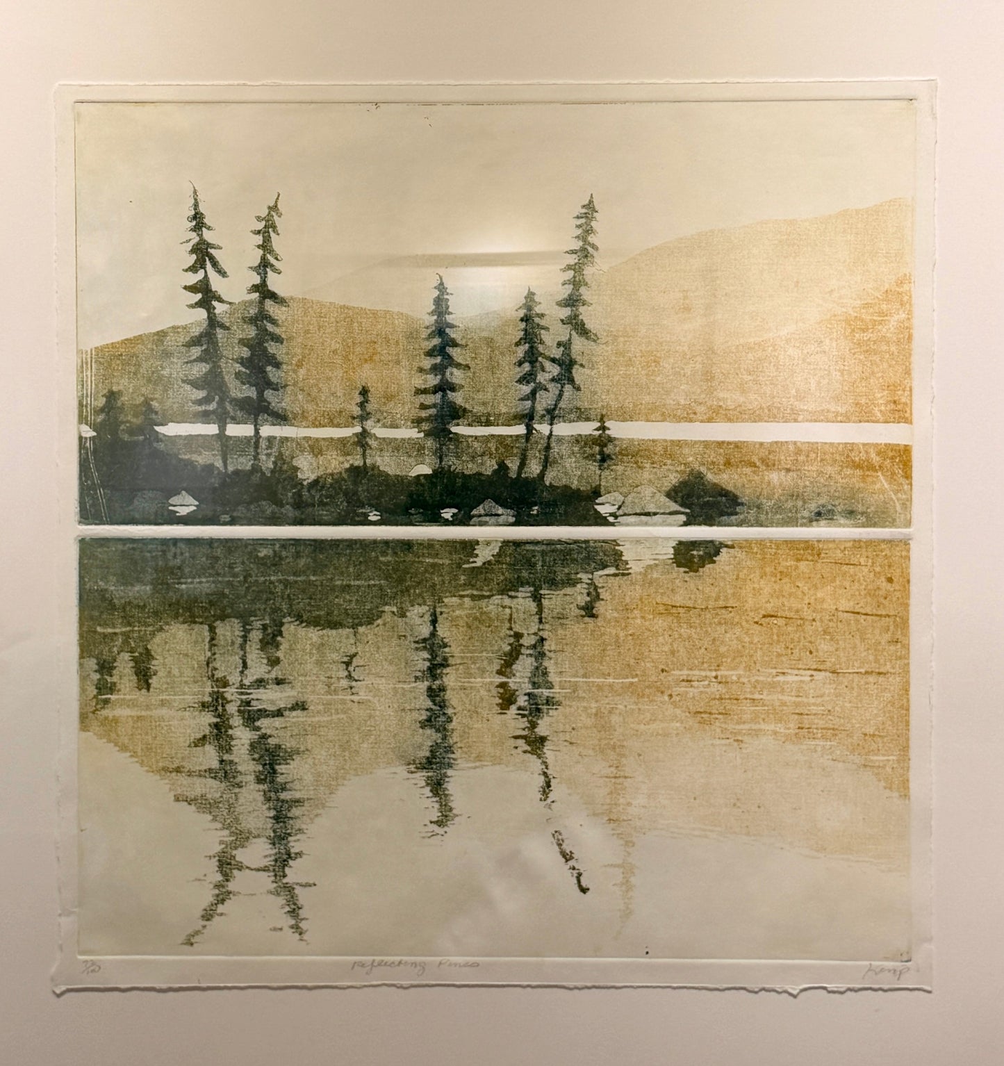Reflecting Pines