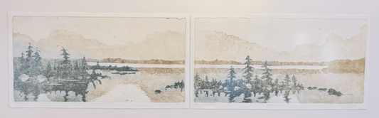 Parallel View