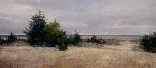 West Meadow