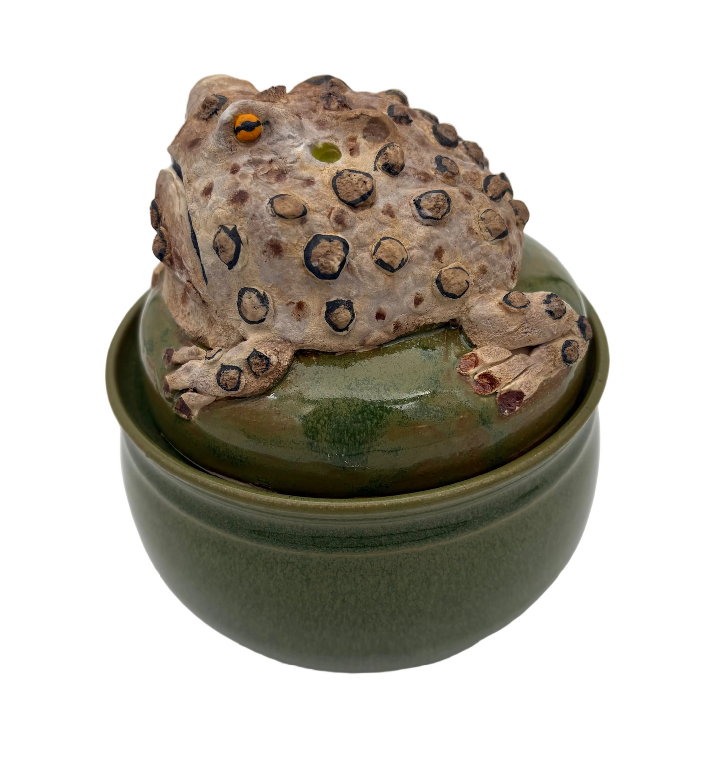 Toad Container