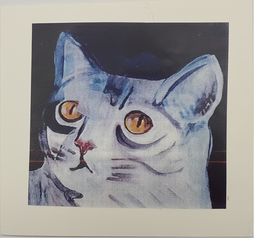 Cards - The Animals Collection