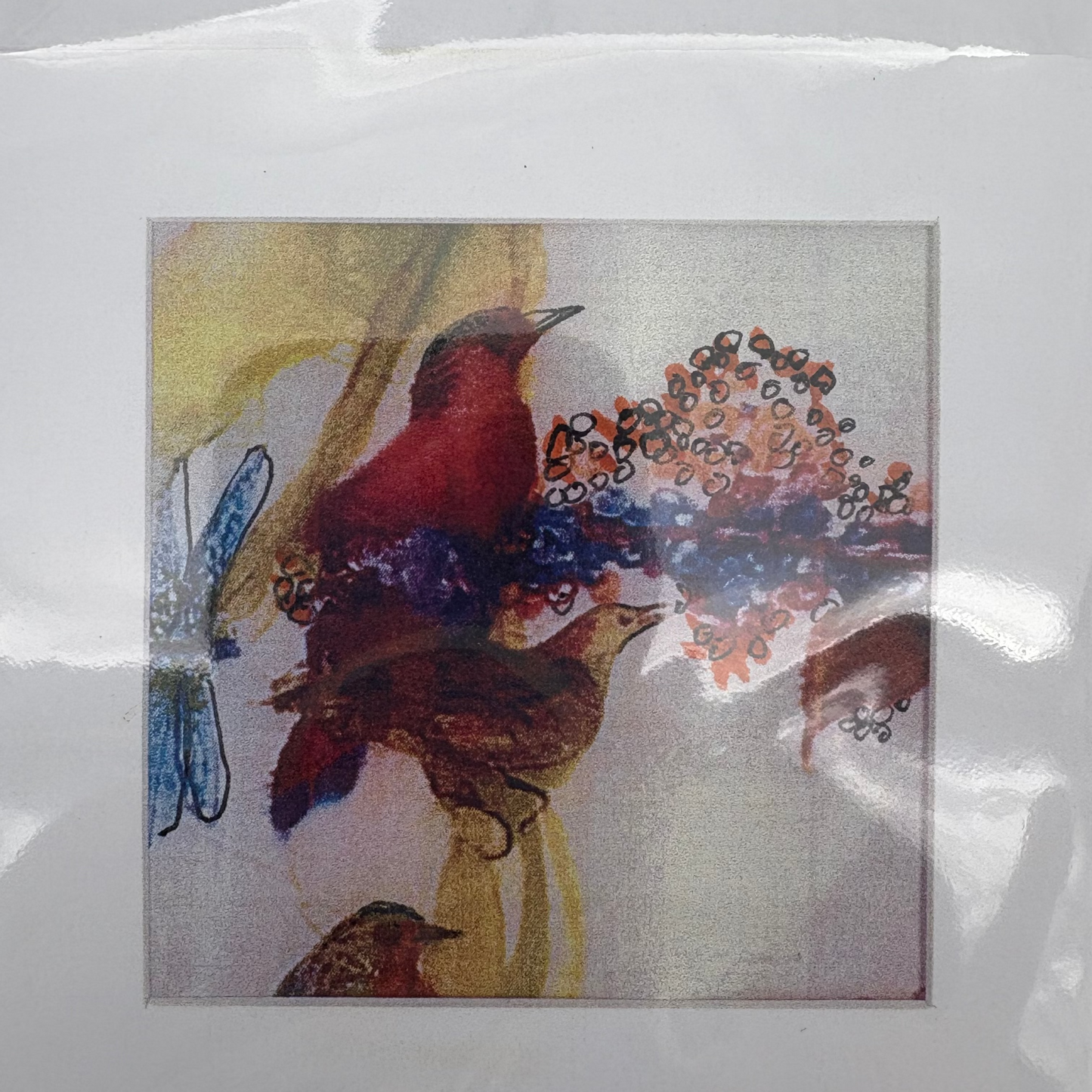 Cards - The Animals Collection