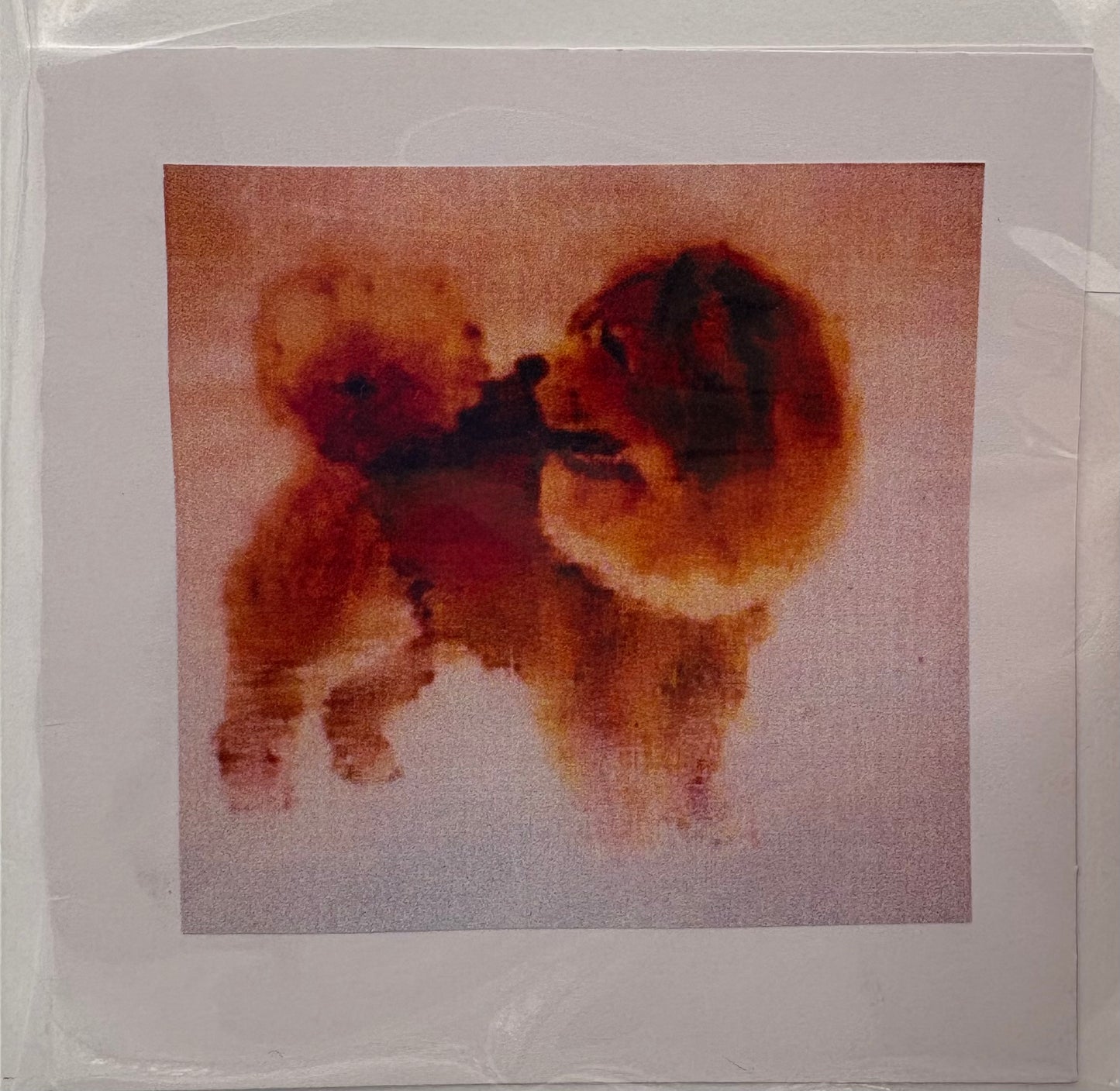 Cards - The Animals Collection