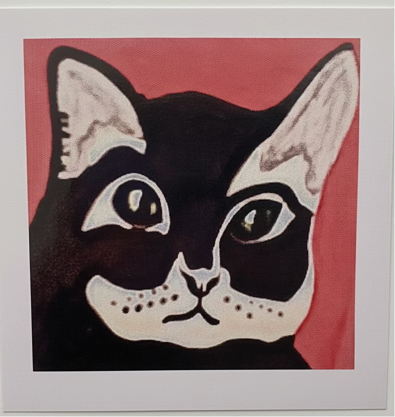 Cards - The Animals Collection