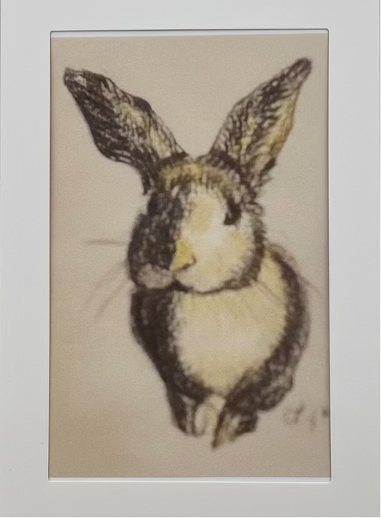 Bunny Card