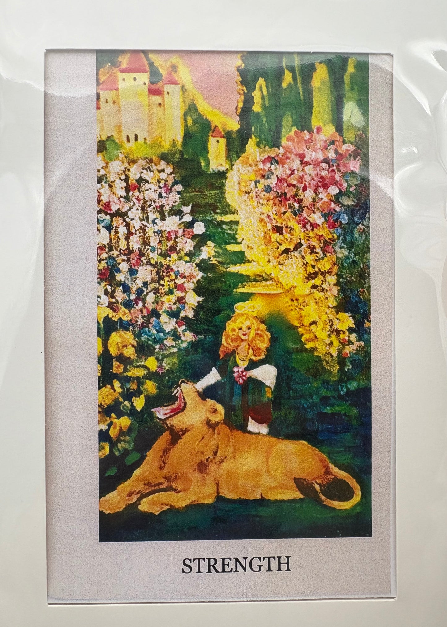 Cards - The Tarot Collection