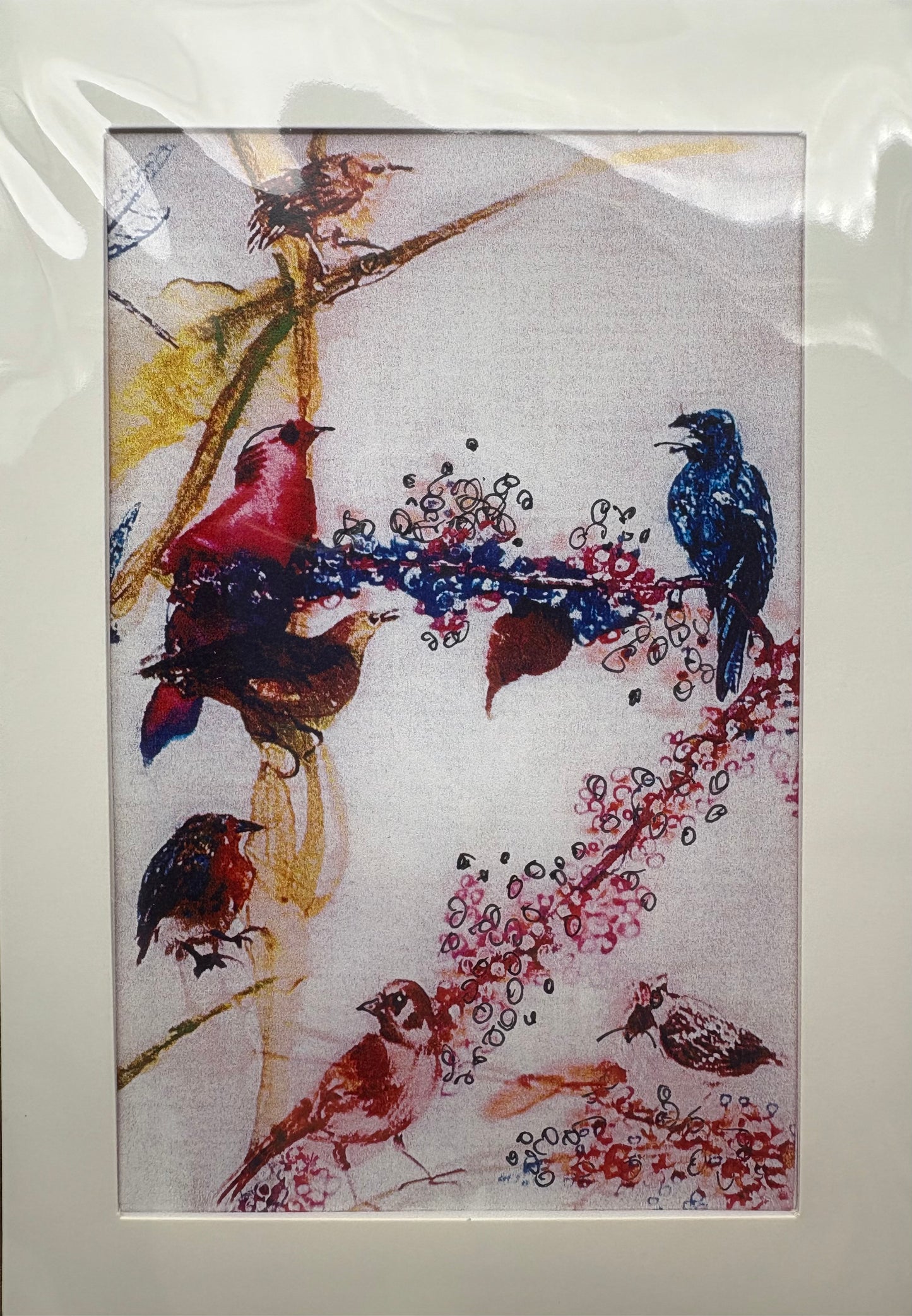 Cards - The Bird Collection