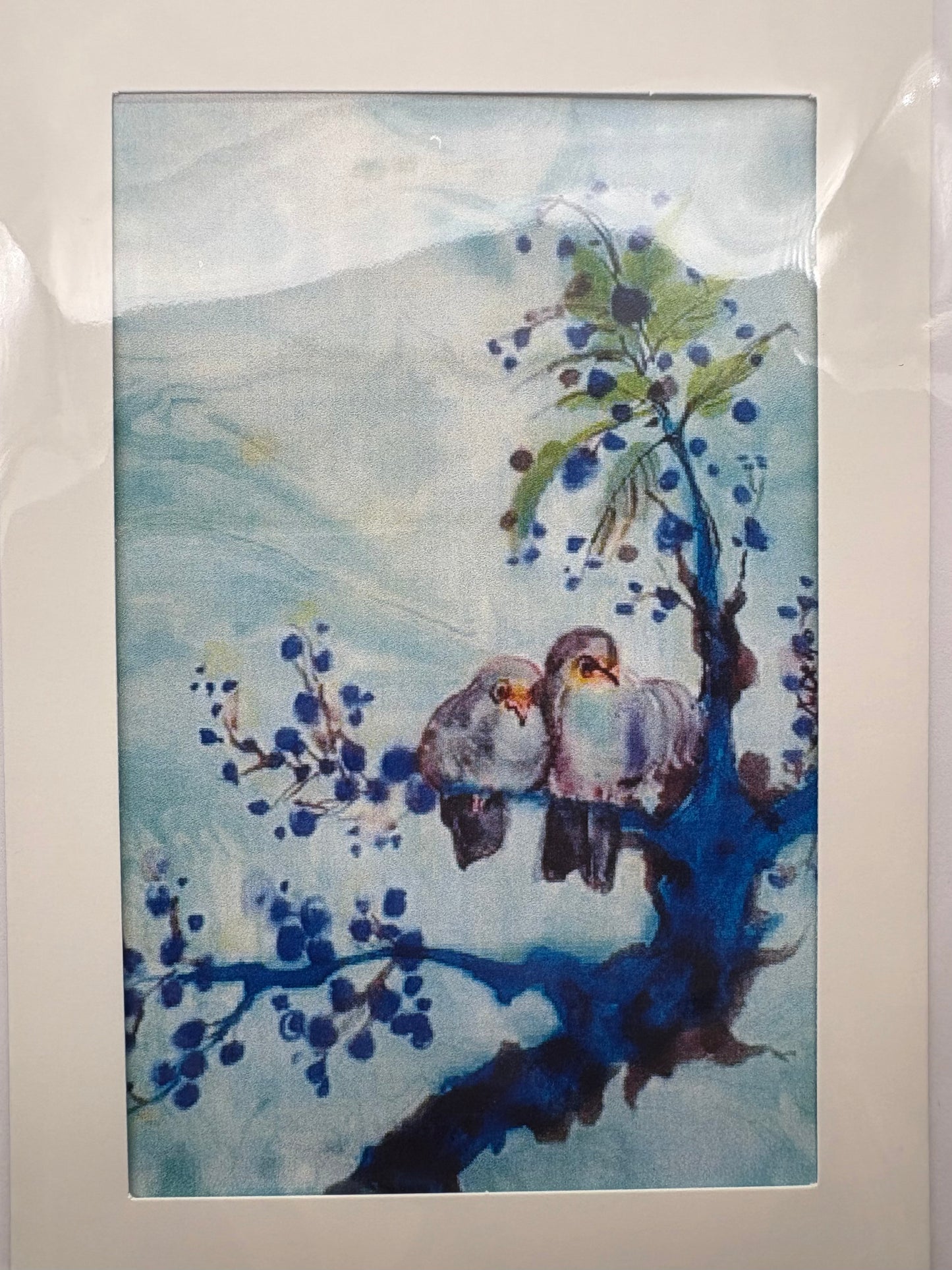 Cards - The Bird Collection
