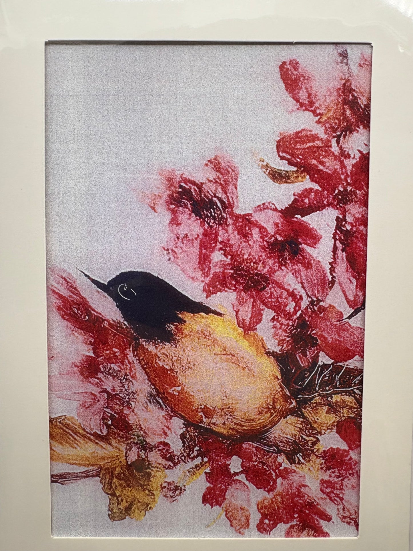 Cards - The Bird Collection