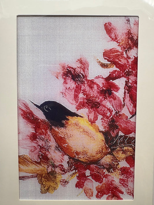 Cards - The Bird Collection