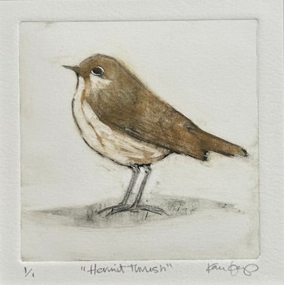Hermit Thrush