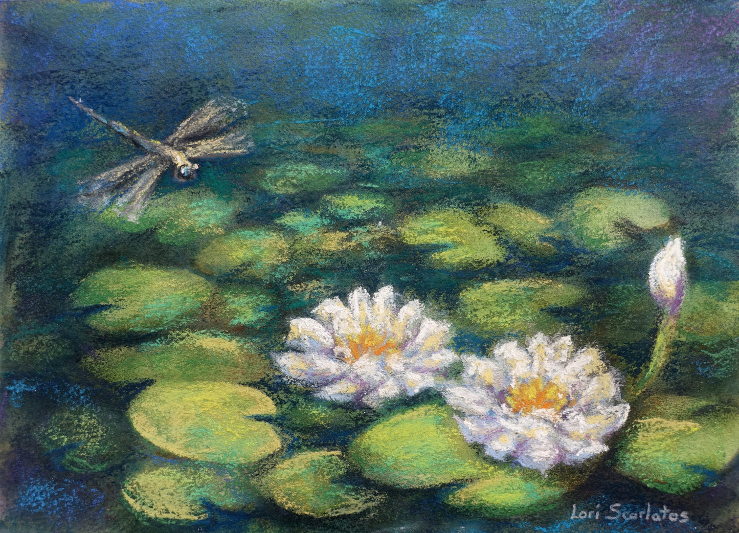 Water Lilies