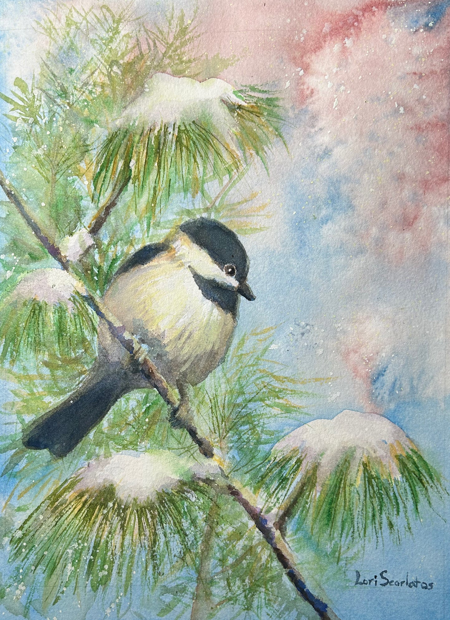 Winter Chickadee