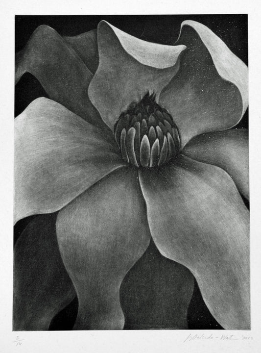 Magnolia