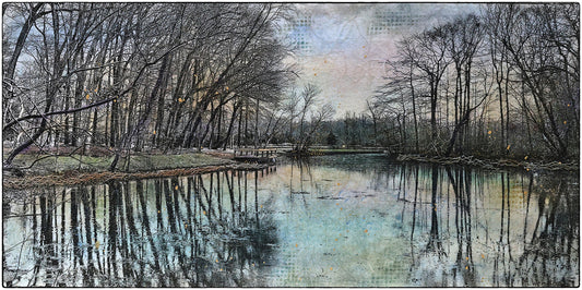 Tranquil Reflections