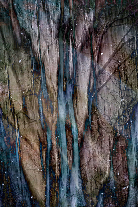 Twilight Flurry