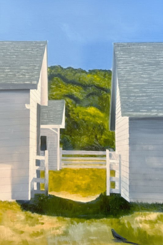 Through the Barns
