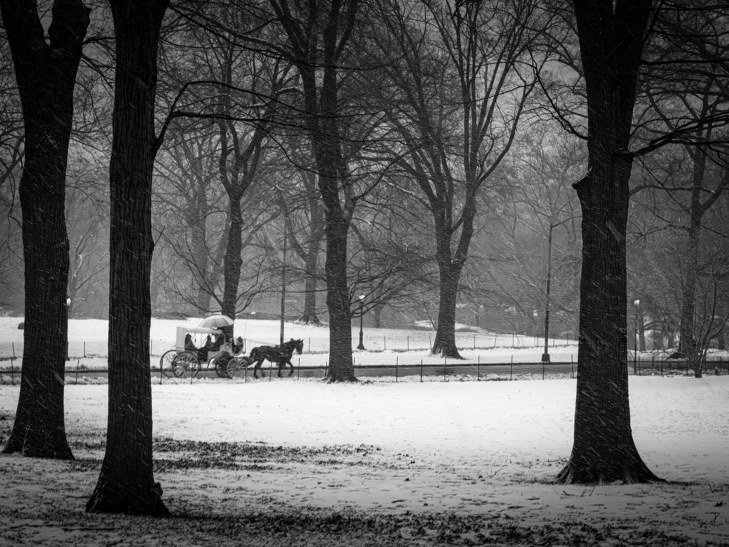 Central Park Winter