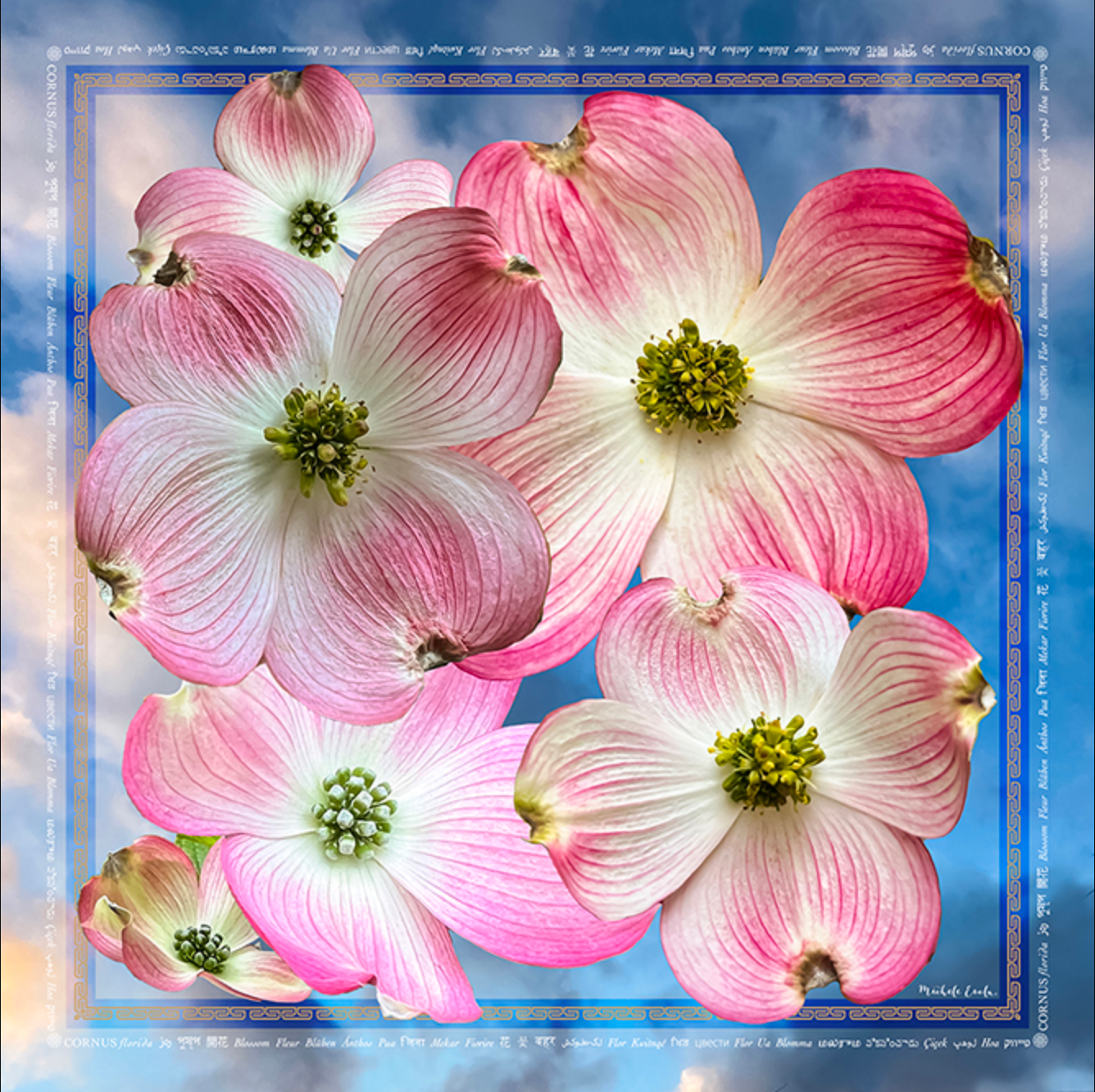 Dogwood Blossom Scarf