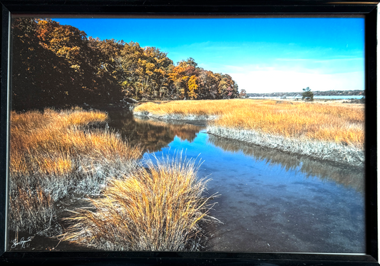 Sagamore Shoreline