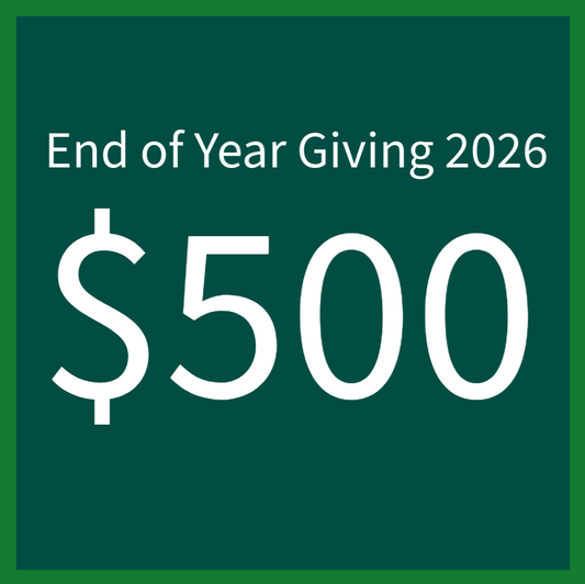 End of Year Giving 2026 - $500