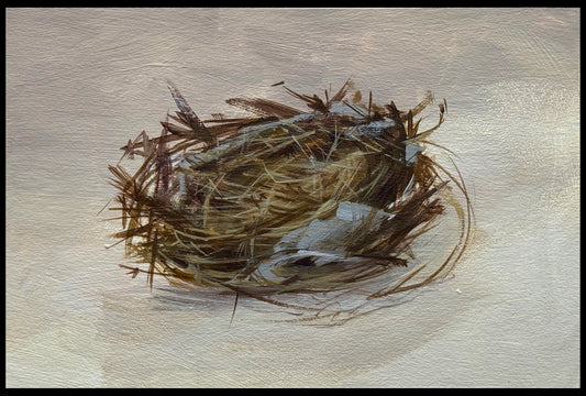 Nature's Little Architects