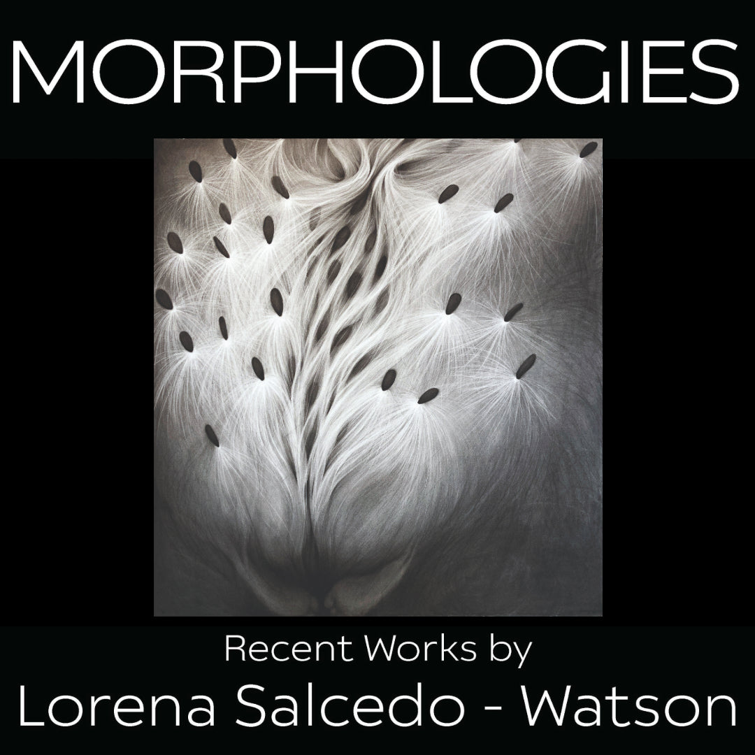 Morphologies Catalog: Recent Works by Lorena Salcedo-Watson