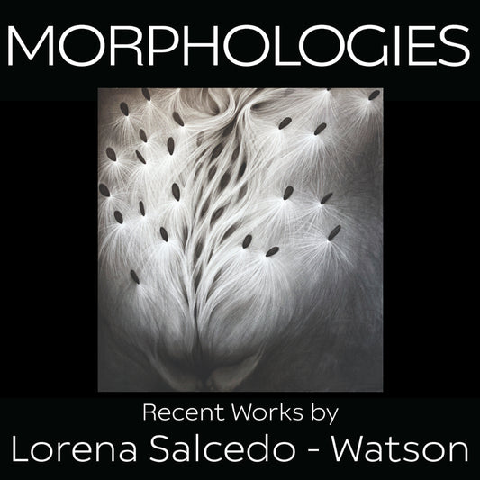 Morphologies Catalog: Recent Works by Lorena Salcedo-Watson