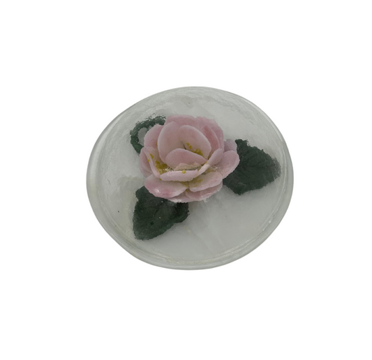 Pink Flower Under Glass