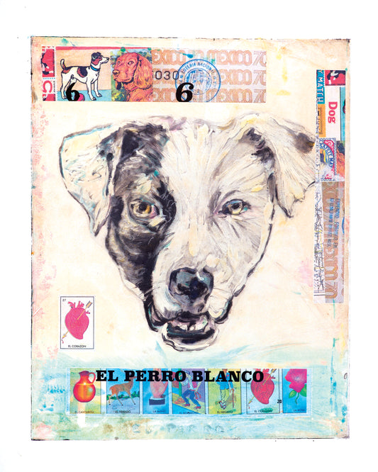 El Perro Blanco Con Lotería