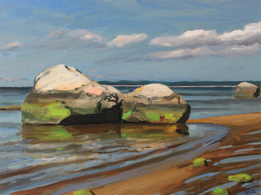 Beach Boulders