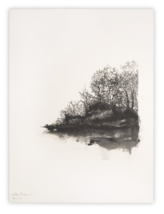 Untitled XIXI Wetland