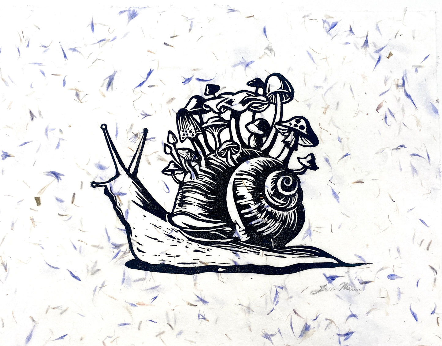 Mushroom Snail
