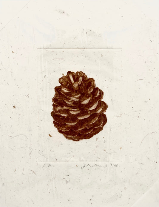 Pine Cone
