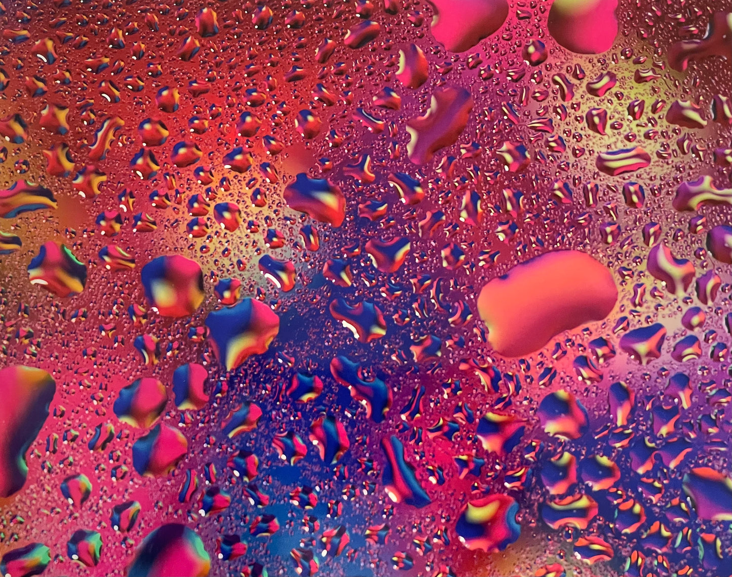 Multi Colored Droplets